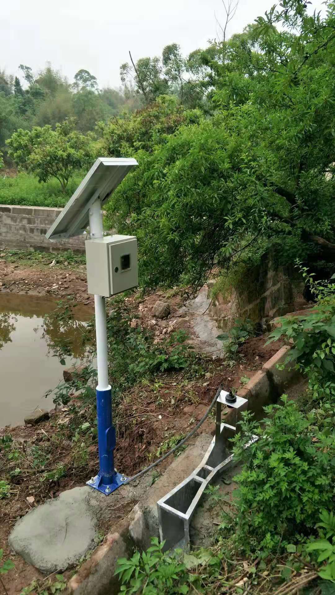 1629881522964179.jpg 11.jpg